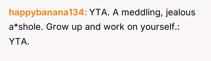 happybanana134 YTA. A meddling, jealous a*shole. Grow up and work...