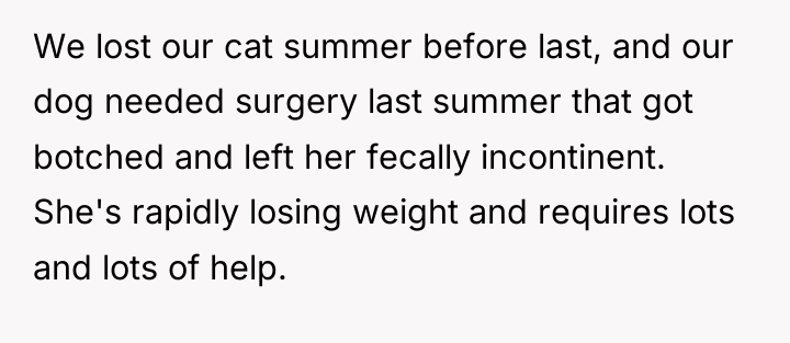 We lost our cat summer before last, and our dog...