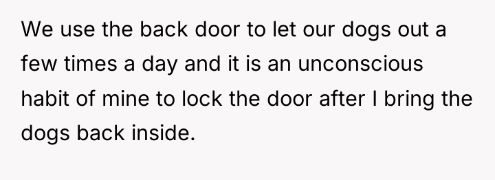 We use the back door to let our dogs out...
