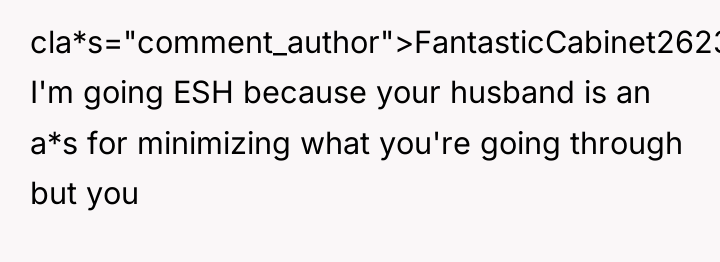 cla*s="comment_author">FantasticCabinet2623: I'm going ESH because your husband is an a*s...