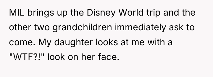 MIL brings up the Disney World trip and the other...