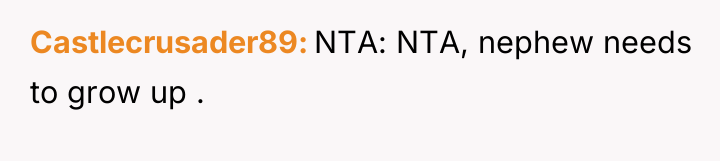 Castlecrusader89 NTA: NTA, nephew needs to grow up .