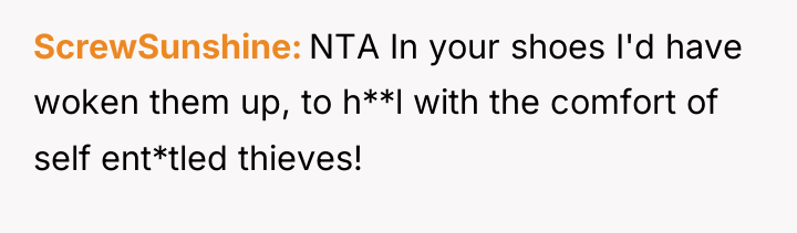 ScrewSunshine NTA In your shoes I'd have woken them up,...