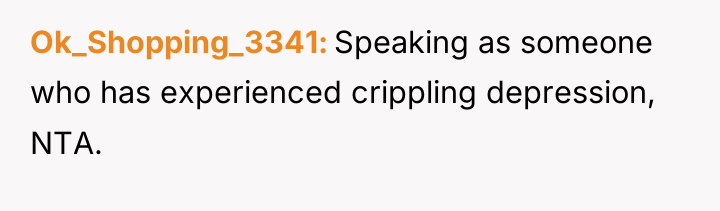 Ok_Shopping_3341 Speaking as someone who has experienced crippling depression, NTA.