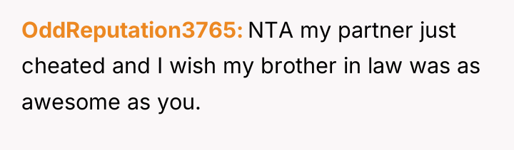 OddReputation3765 NTA my partner just cheated and I wish my...