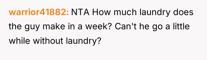 warrior41882 NTA How much laundry does the guy make in...