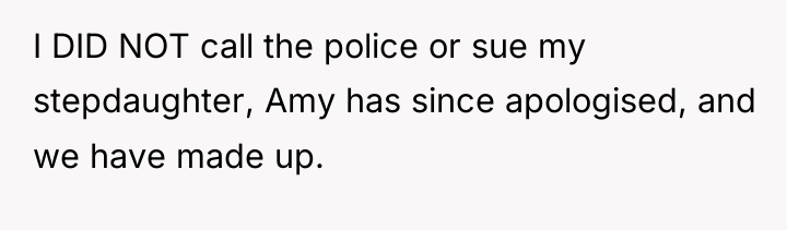I DID NOT call the police or sue my stepdaughter,...