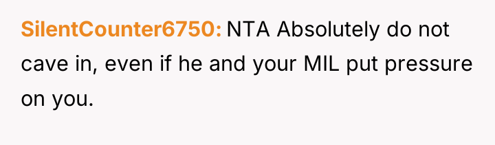 SilentCounter6750 NTA Absolutely do not cave in, even if he...