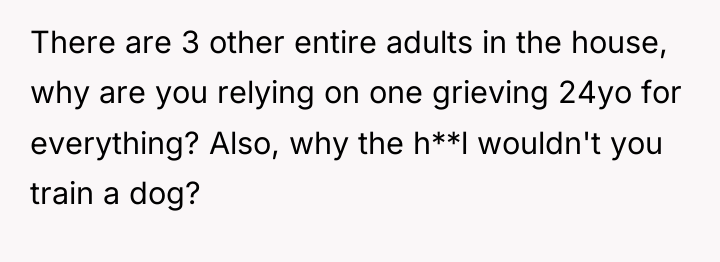 There are 3 other entire adults in the house, why...