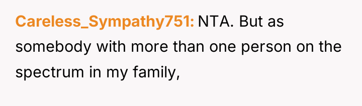 Careless_Sympathy751 NTA. But as somebody with more than one person...