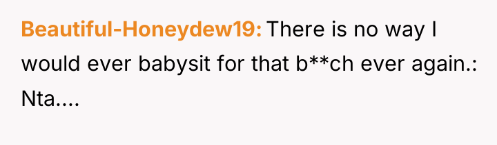 Beautiful-Honeydew19 There is no way I would ever babysit for...