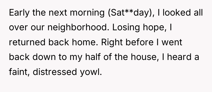 Early the next morning (Sat**day), I looked all over our...