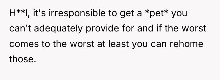 H**l, it's irresponsible to get a *pet* you can't adequately...
