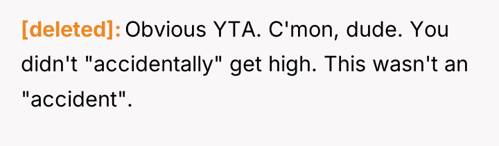 [deleted] Obvious YTA. C'mon, dude. You didn't "accidentally" get high....