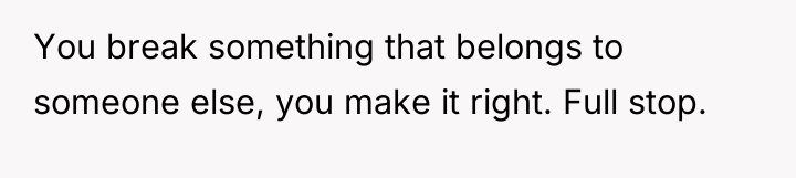 You break something that belongs to someone else, you make...