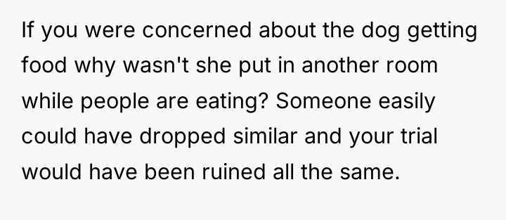 If you were concerned about the dog getting food why...