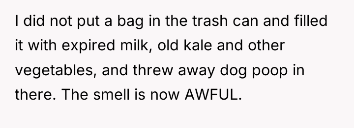 I did not put a bag in the trash can...