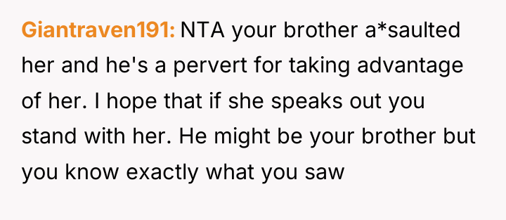 Giantraven191 NTA your brother a*saulted her and he's a pervert...