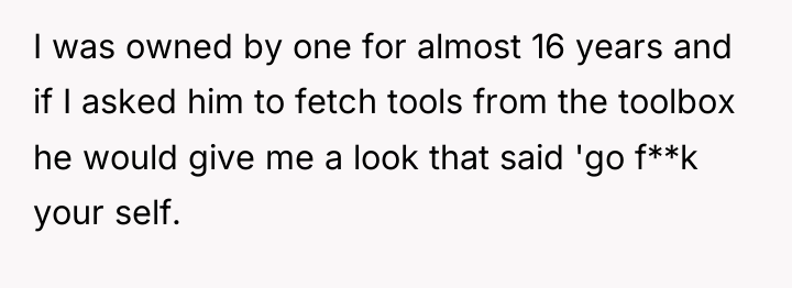 I was owned by one for almost 16 years and...