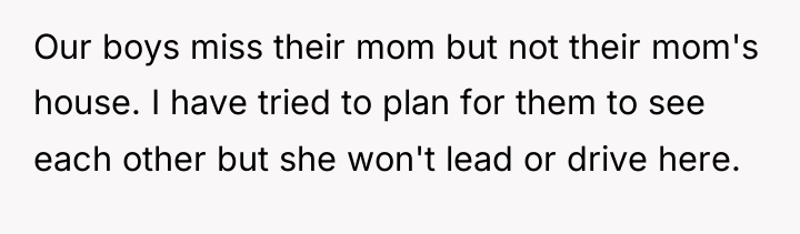 Our boys miss their mom but not their mom's house....