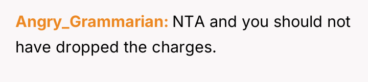 Angry_Grammarian NTA and you should not have dropped the charges.
