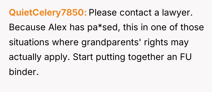 QuietCelery7850 Please contact a lawyer. Because Alex has pa*sed, this...