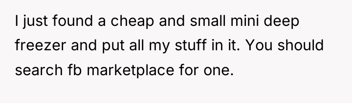 I just found a cheap and small mini deep freezer...
