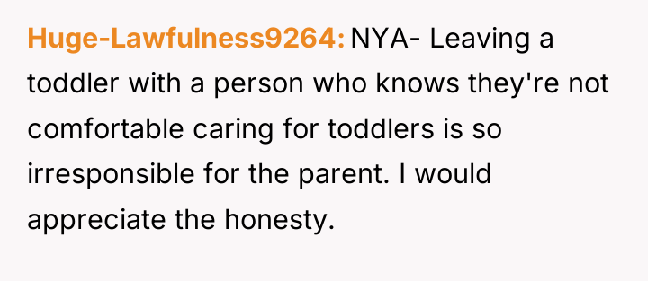 Huge-Lawfulness9264 NYA- Leaving a toddler with a person who knows...