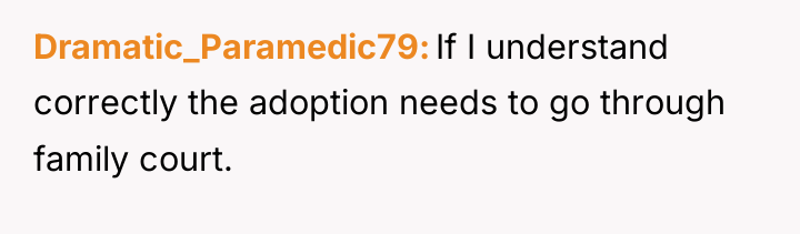 Dramatic_Paramedic79 If I understand correctly the adoption needs to go...