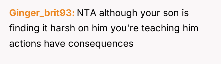 Ginger_brit93 NTA although your son is finding it harsh on...