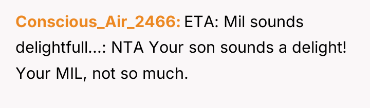 Conscious_Air_2466 ETA: Mil sounds delightfull...: NTA Your son sounds a...