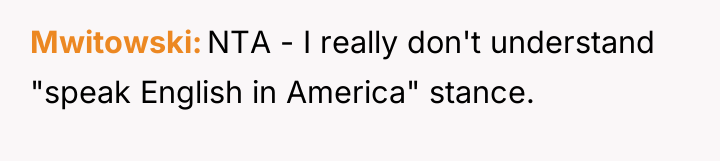 Mwitowski NTA - I really don't understand "speak English in...