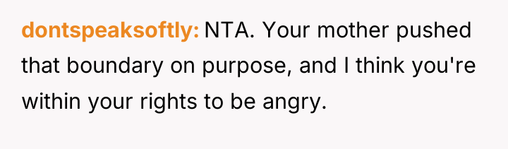 dontspeaksoftly NTA. Your mother pushed that boundary on purpose, and...