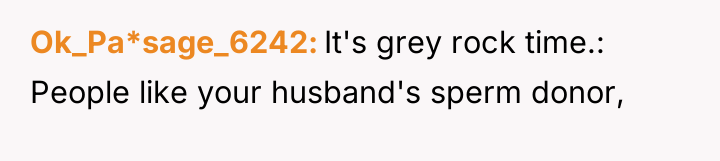 Ok_Pa*sage_6242 It's grey rock time.: People like your husband's sperm...