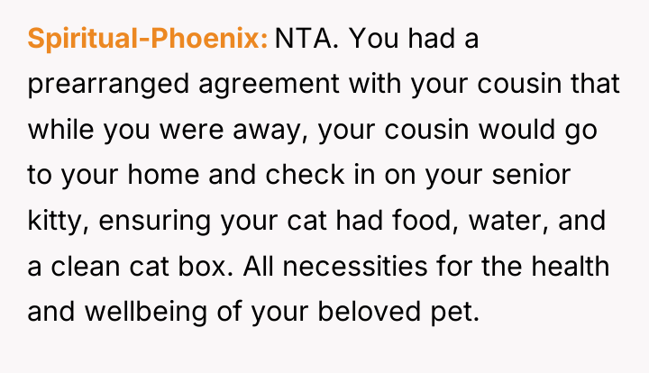 Spiritual-Phoenix NTA. You had a prearranged agreement with your cousin...