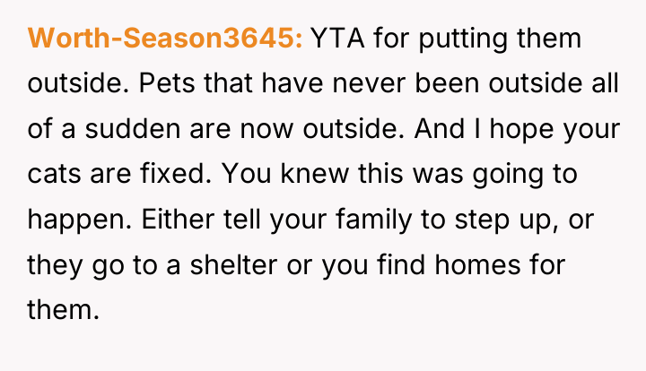 Worth-Season3645 YTA for putting them outside. Pets that have never...