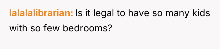 lalalalibrarian Is it legal to have so many kids with...