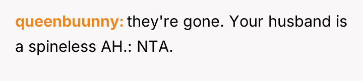 queenbuunny they're gone. Your husband is a spineless AH.: NTA.