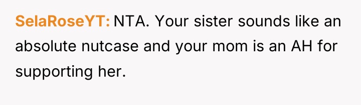 SelaRoseYT NTA. Your sister sounds like an absolute nutcase and...