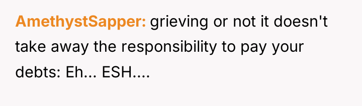 AmethystSapper grieving or not it doesn't take away the responsibility...