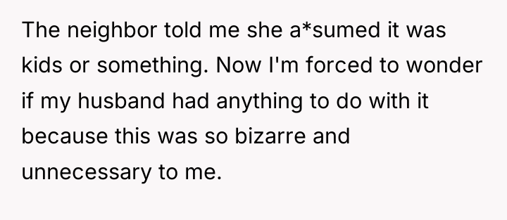 The neighbor told me she a*sumed it was kids or...
