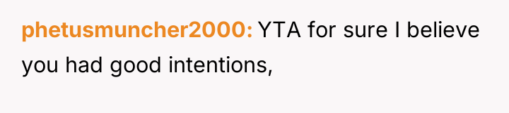 phetusmuncher2000 YTA for sure I believe you had good intentions,