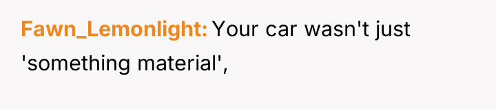 Fawn_Lemonlight Your car wasn't just 'something material',