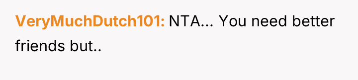 VeryMuchDutch101 NTA... You need better friends but..