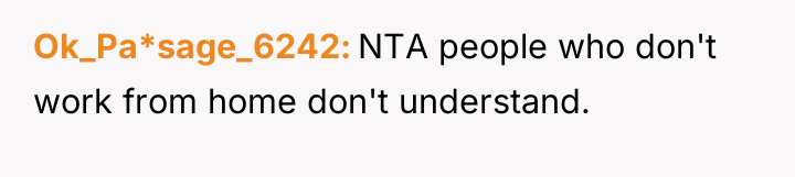 Ok_Pa*sage_6242 NTA people who don't work from home don't understand.