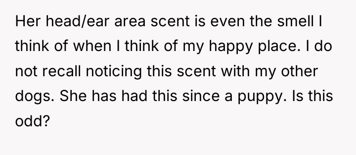 Her head/ear area scent is even the smell I think...