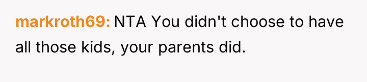 markroth69 NTA You didn't choose to have all those kids,...