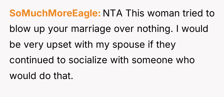 SoMuchMoreEagle NTA This woman tried to blow up your marriage...