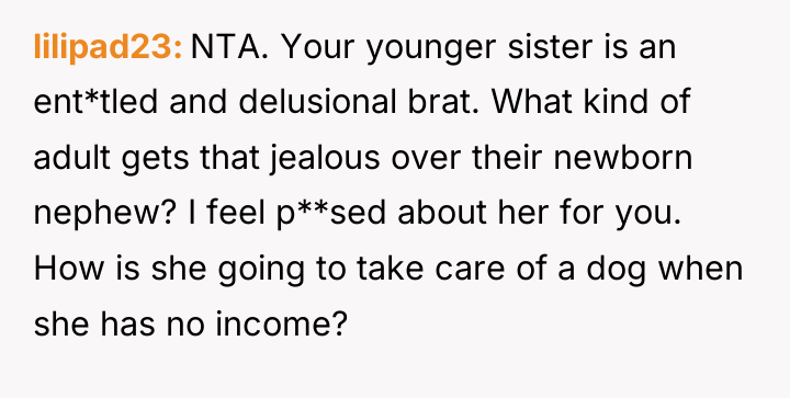 lilipad23 NTA. Your younger sister is an ent*tled and delusional...