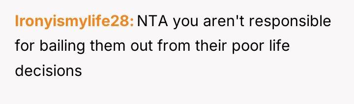 Ironyismylife28 NTA you aren't responsible for bailing them out from...